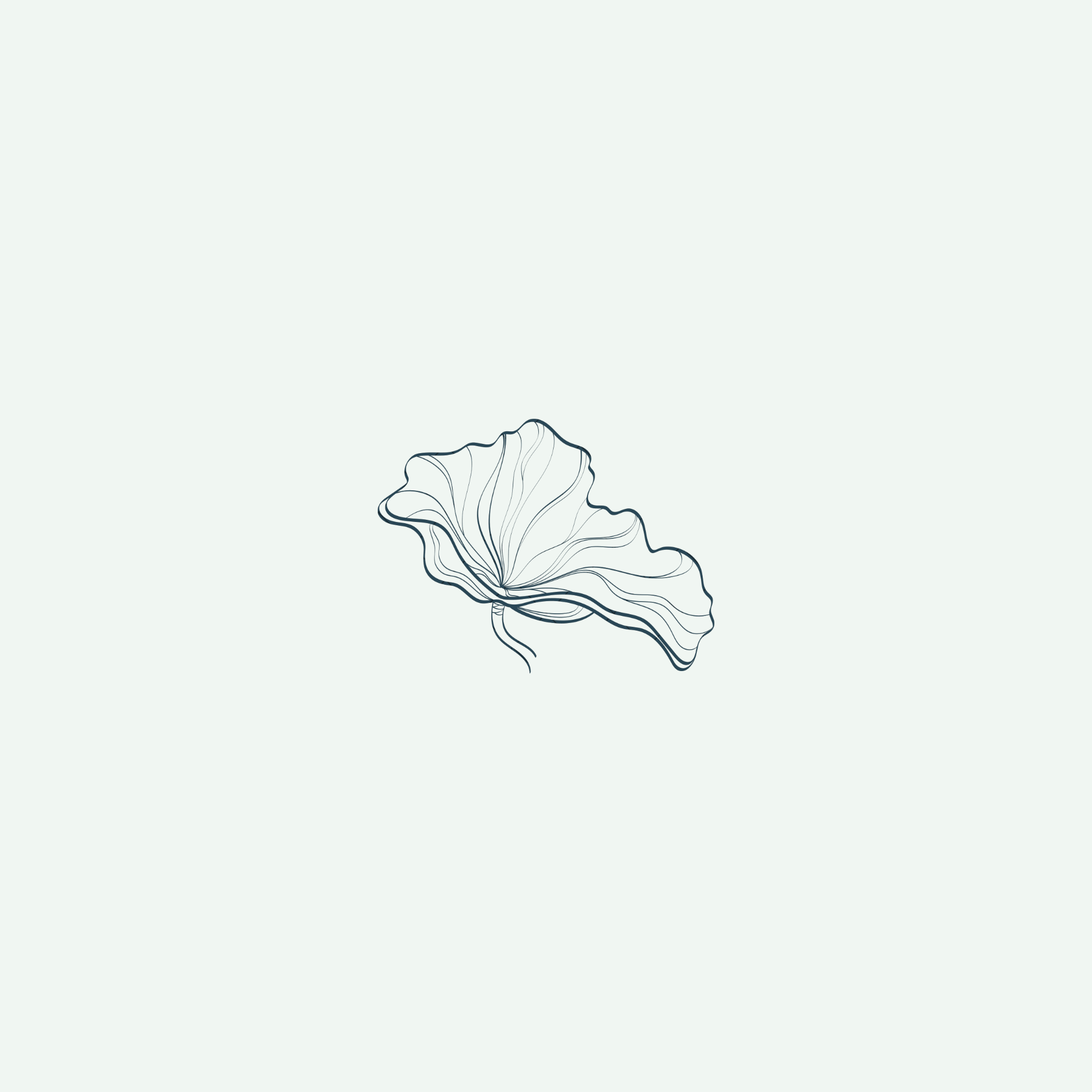 Minimalist line drawing of a flower with curved petals on a light background.