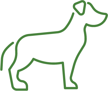 Minimalist green line drawing of a dog.