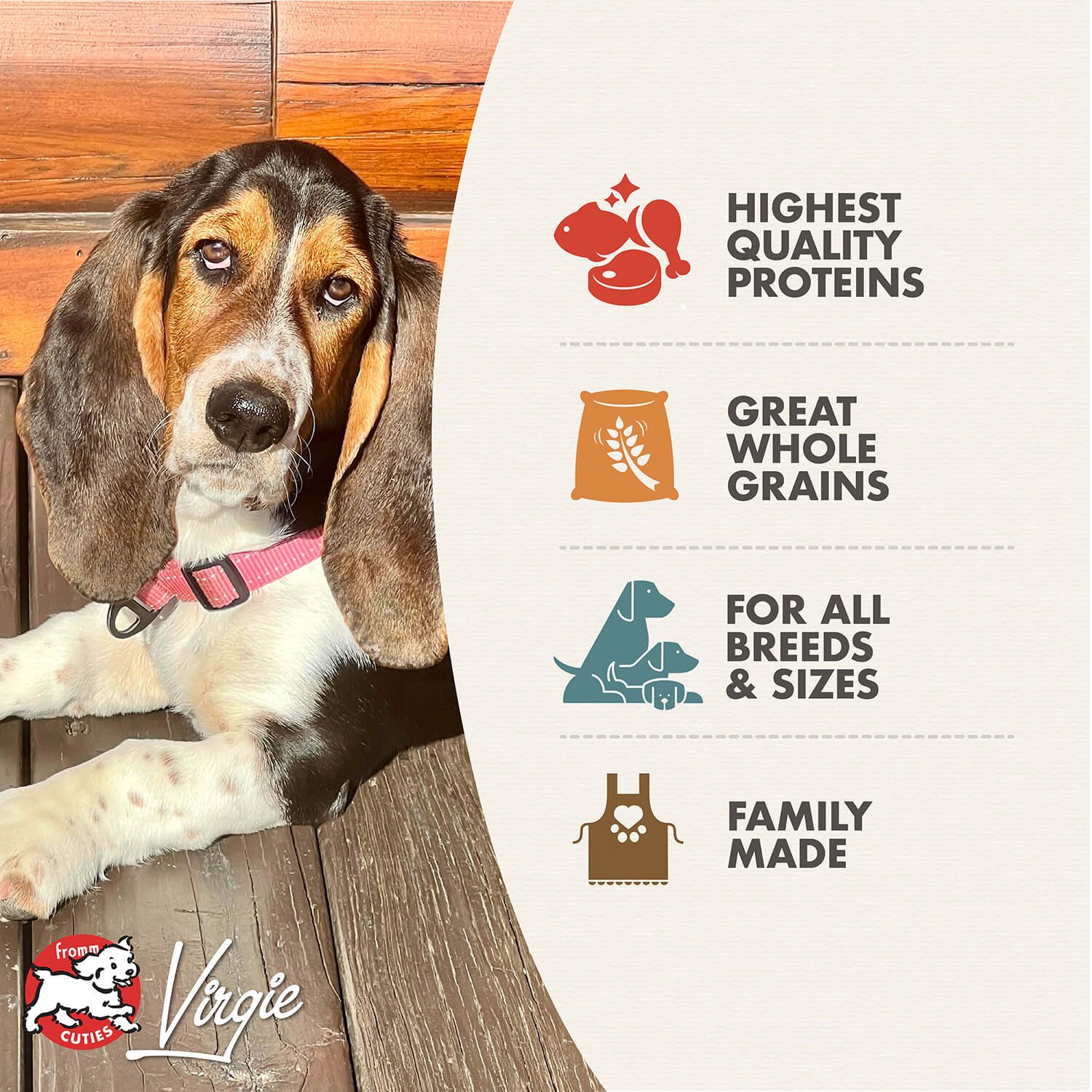 tile_features_gold-dog-dry_adult-gold.jpg