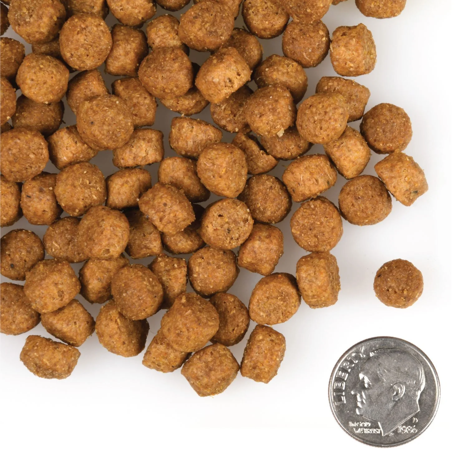 tile_oop-kibble_gold-dog-dry_large-breed-puppy-gold.jpg