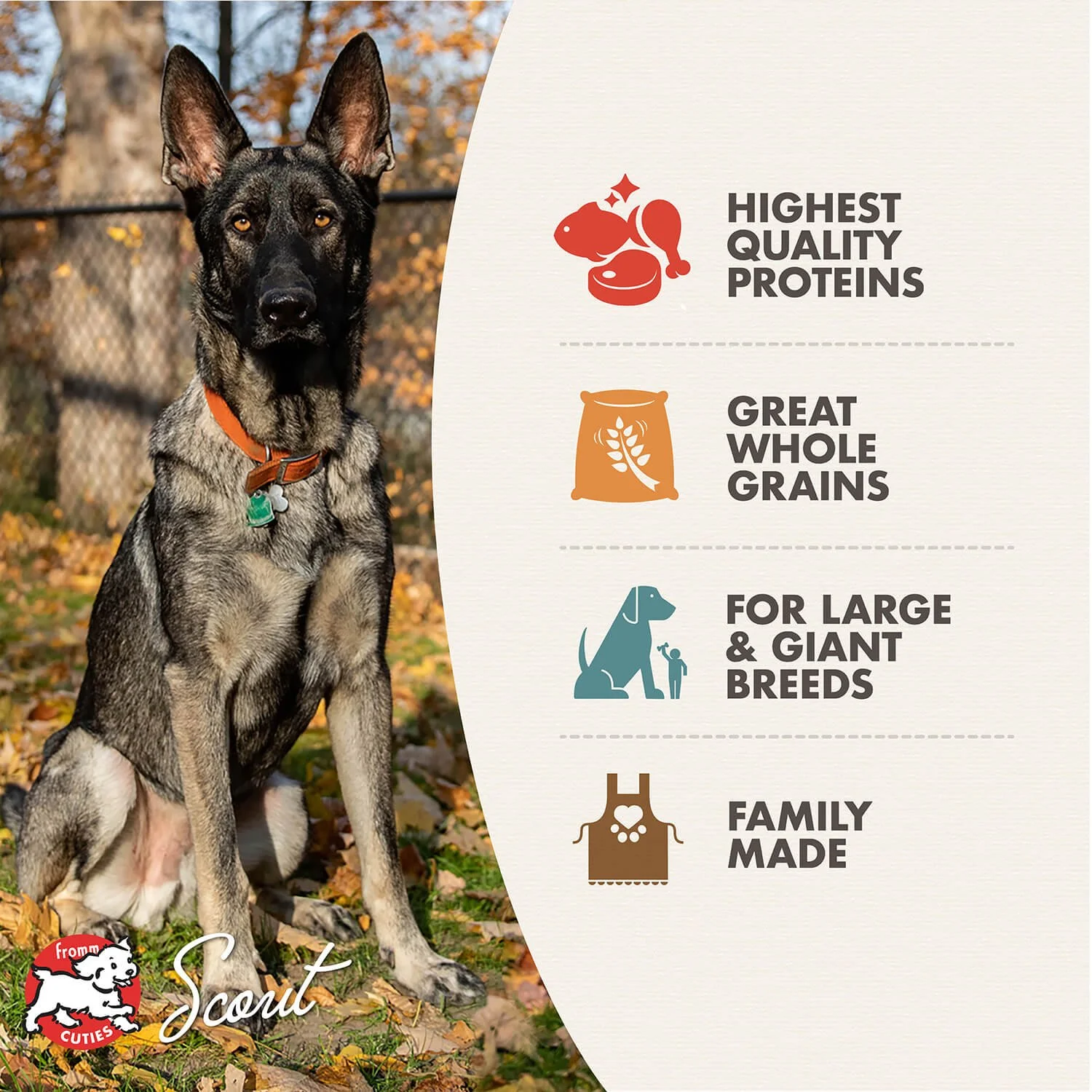 tile_features_gold-dog-dry_large-breed-adult-gold.jpg