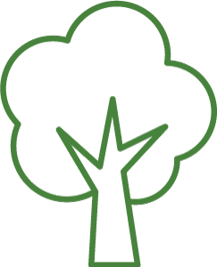Simple line drawing of a tree with a leafy canopy and a straight trunk