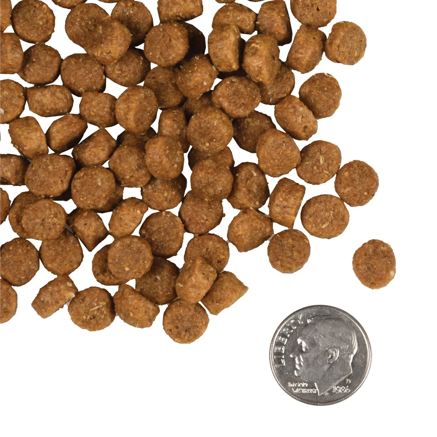 tile_oop-kibble_gold-dog-dry_puppy-gold.jpg