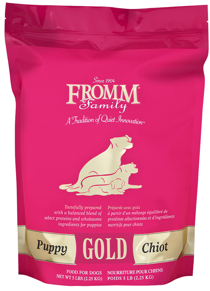 Gold Puppy