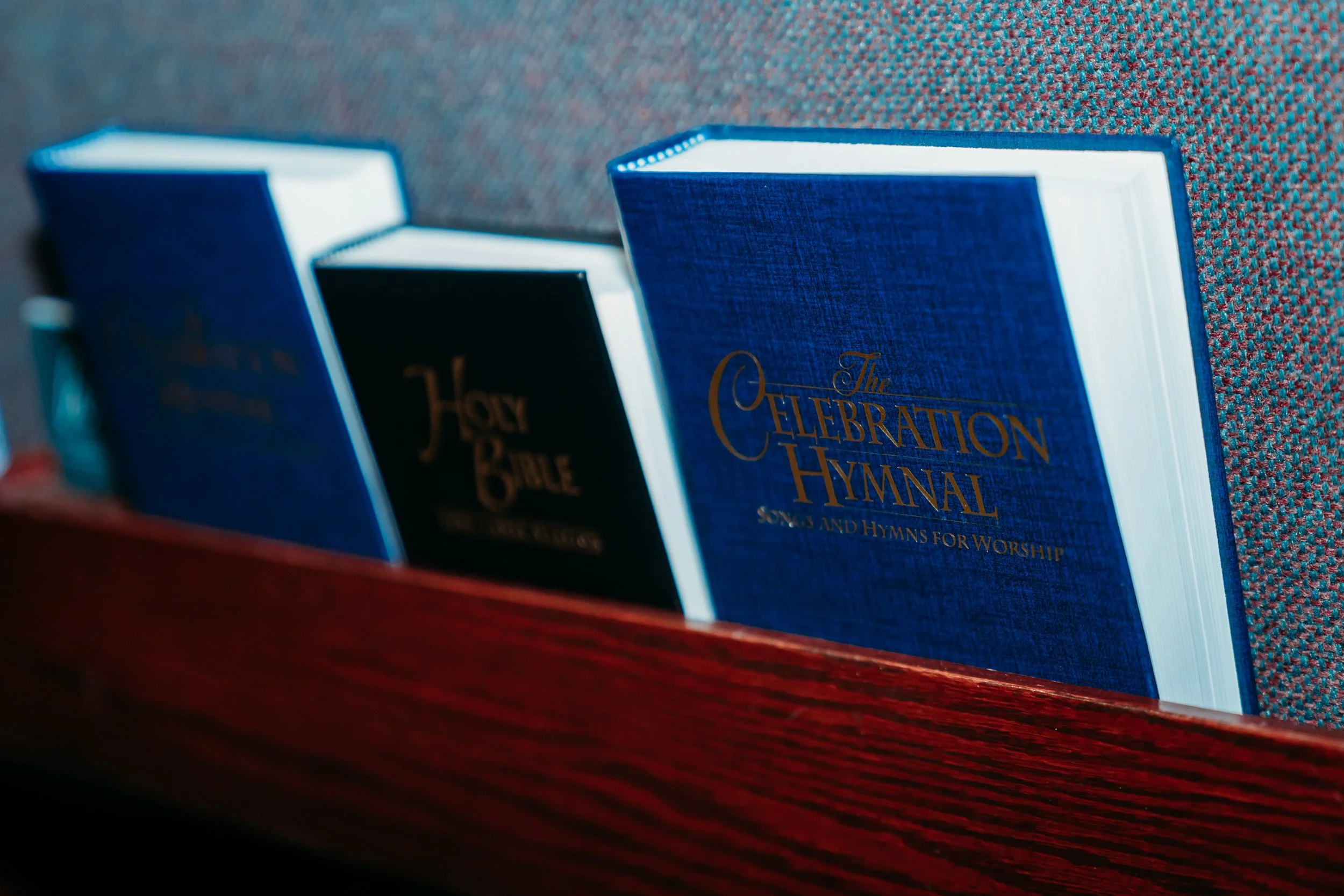 WBP08969.jpg