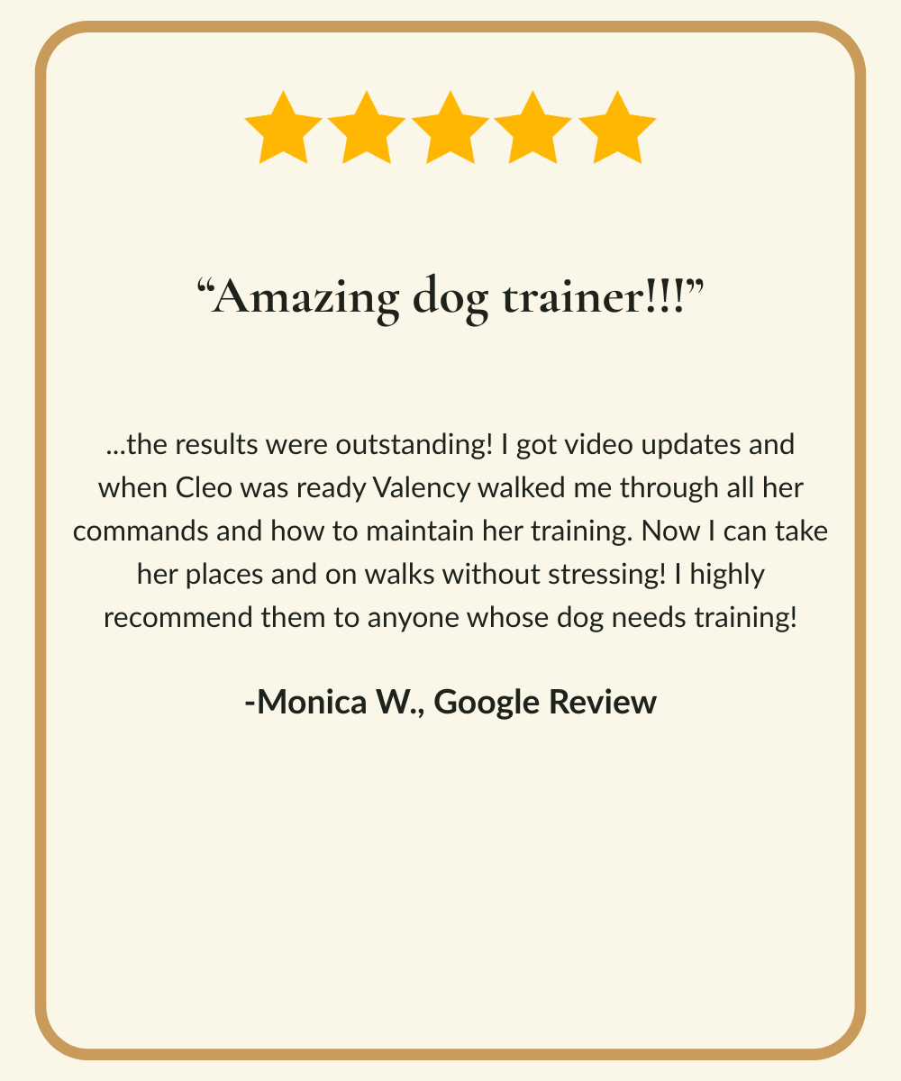 Five-star dog training Google review from a board and train client in Nipomo, CA