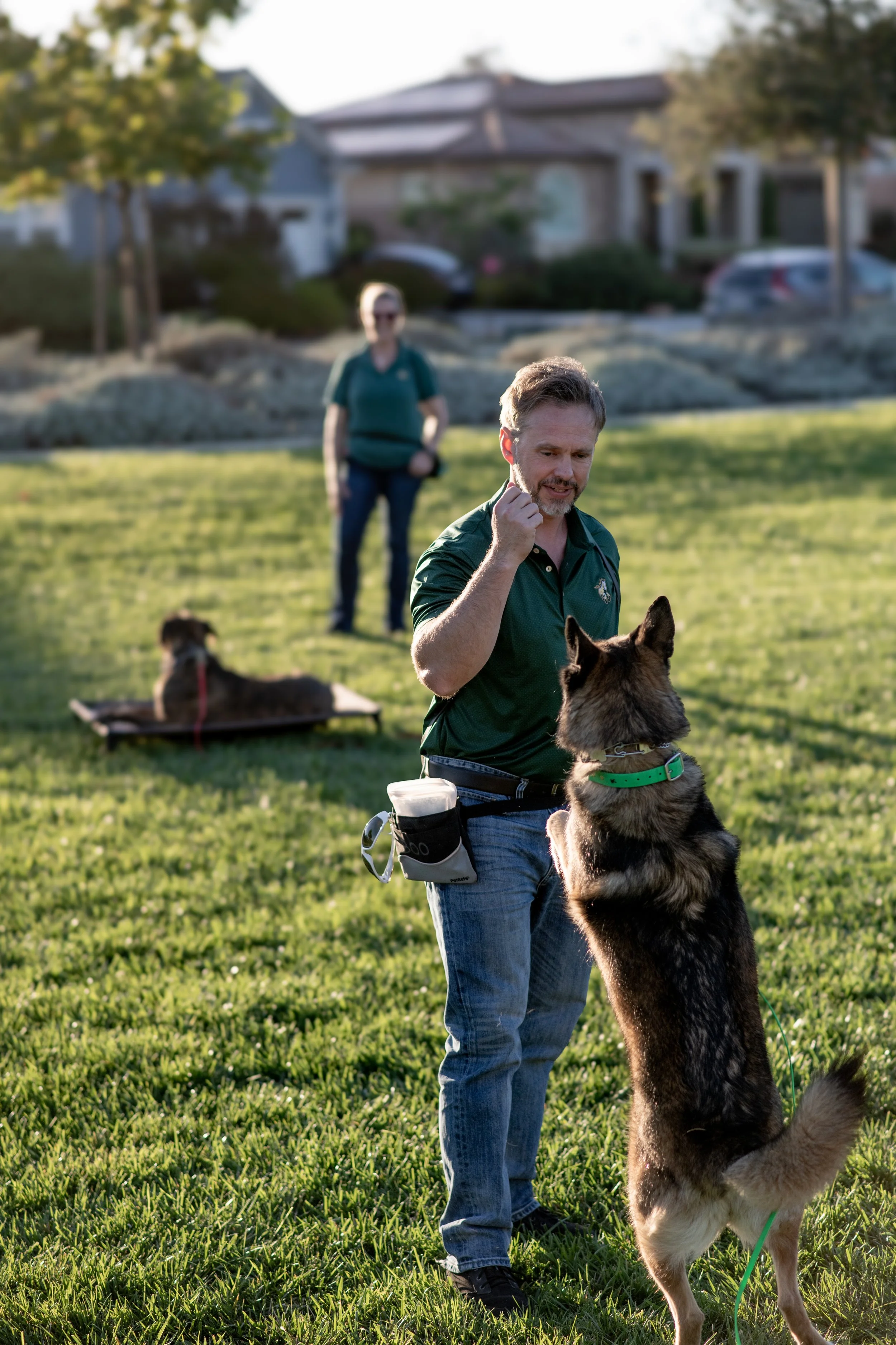 malinois-husky-mix-board-and-train-park-session-nipomo-ca.jpg