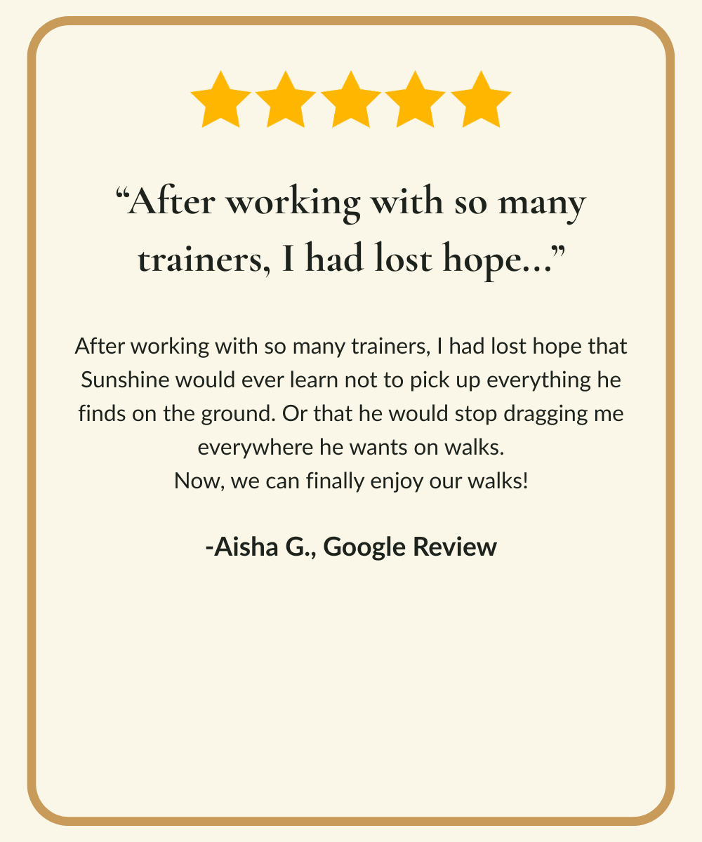 Five-star Google review from dog owner describing improved leash manners and walking behavior