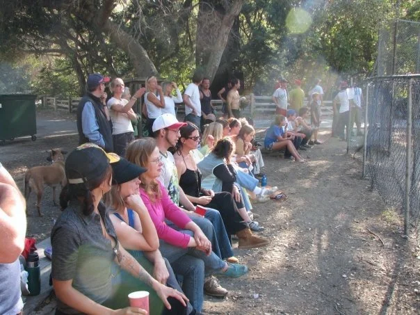 People seated and standing in a park, watching a dog show near a fenced area, with dogs and trees in the background.