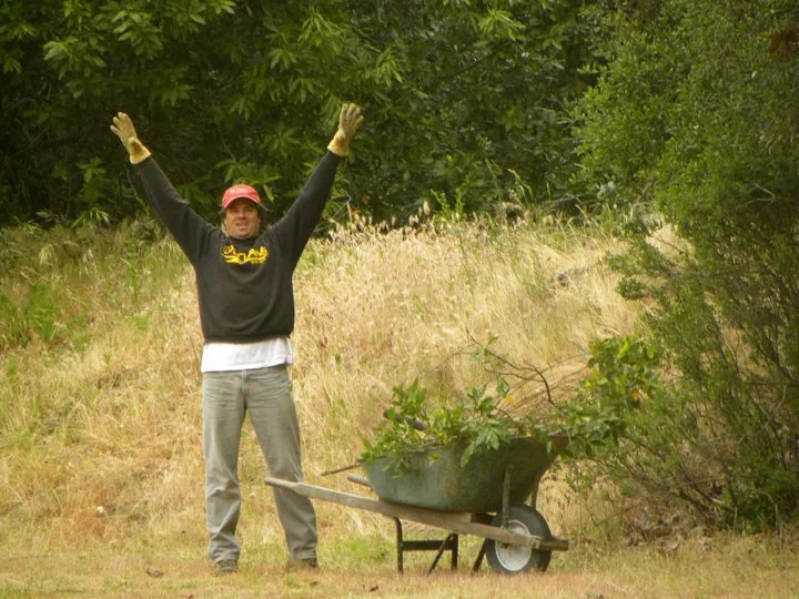 Man with arms raised standing next to a wheelbarrow filled with soil or plant material outdoors surrounded by trees and grass.