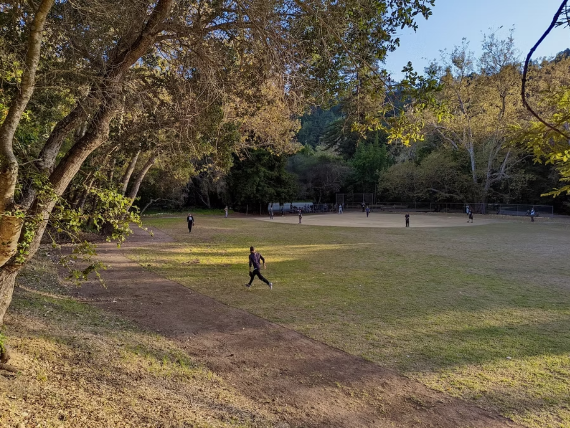 People playing baseball on a field surrounded by trees in a park.