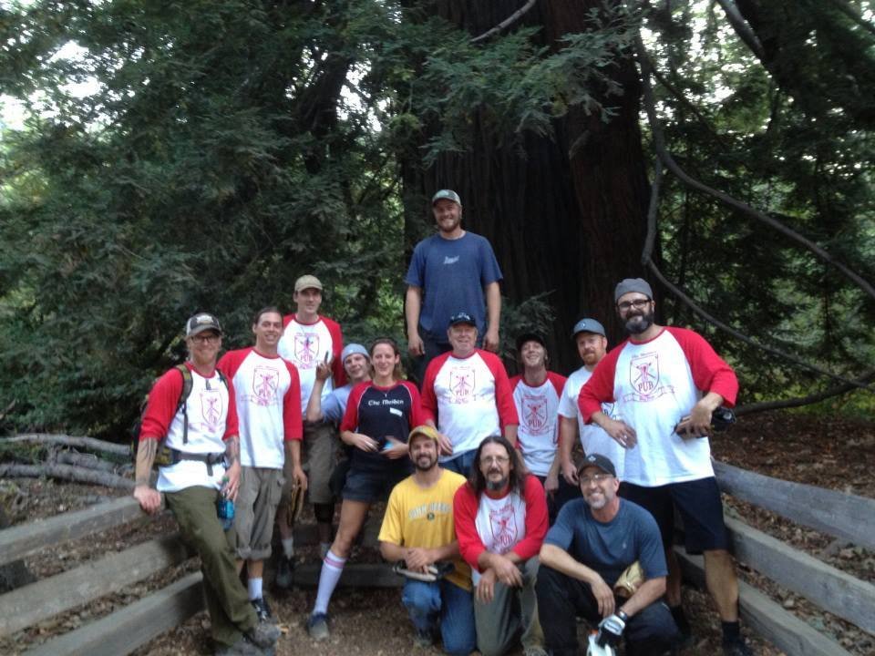 Group of 12 people posing in front of a large redwood tree in a forest, some wearing baseball shirts and hats, standing on a trail with wooden railings.