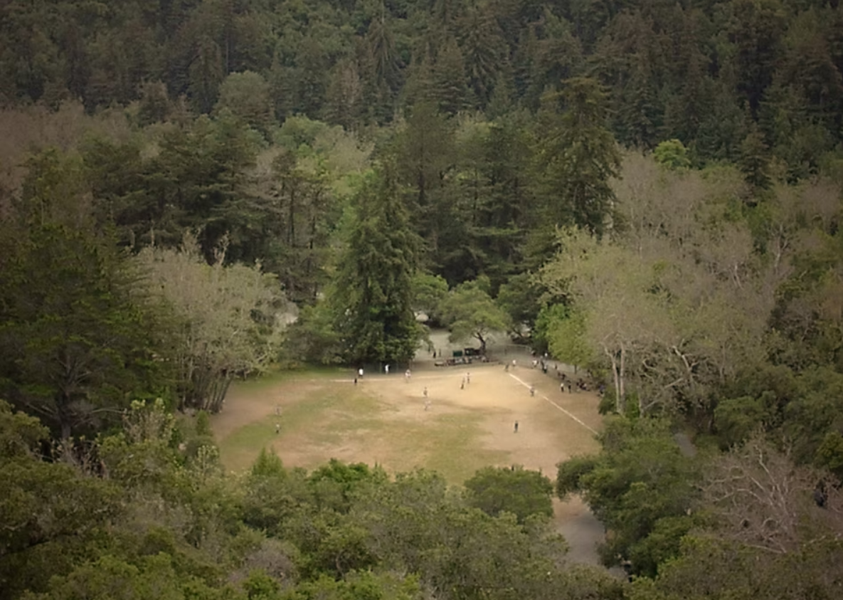 Bird's eye view of a large grassy park surrounded by a dense forest with several people scattered across the area.