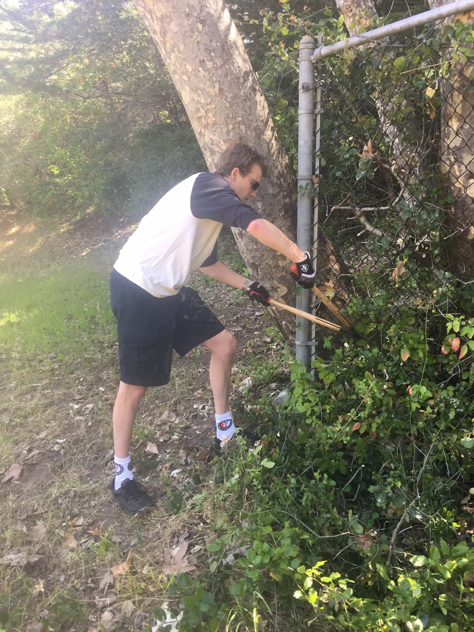 A young man in a black and white baseball t-shirt, black shorts, and sunglasses is cutting a tree branch near a chain-link fence, with grass and leaves on the ground and trees in the background.