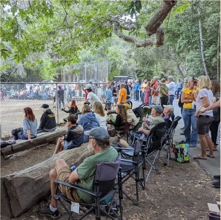 People sitting and standing behind a chain-link fence at a zoo or wildlife park, observing animals in a secure enclosure, with trees overhead and a mix of adults and children in casual attire.
