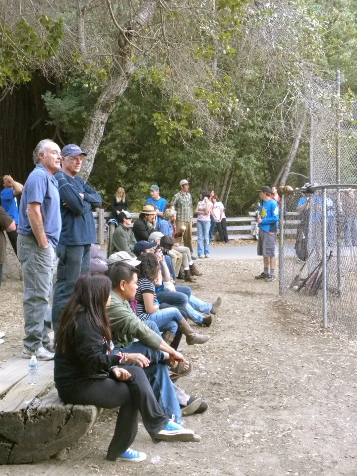 People gathered outdoors, seated and standing, watching a performance or event near a fenced area, with trees and a wooded background.