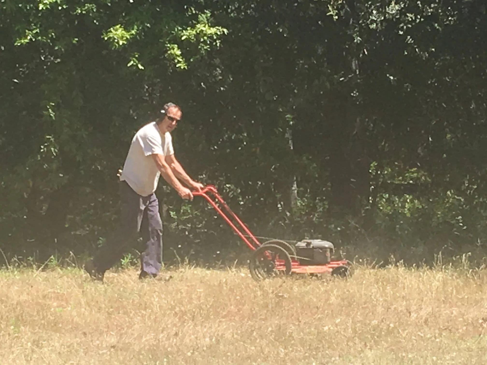 A man wearing sunglasses and a light-colored T-shirt is mowing the lawn with a push mower on a grassy area surrounded by trees.