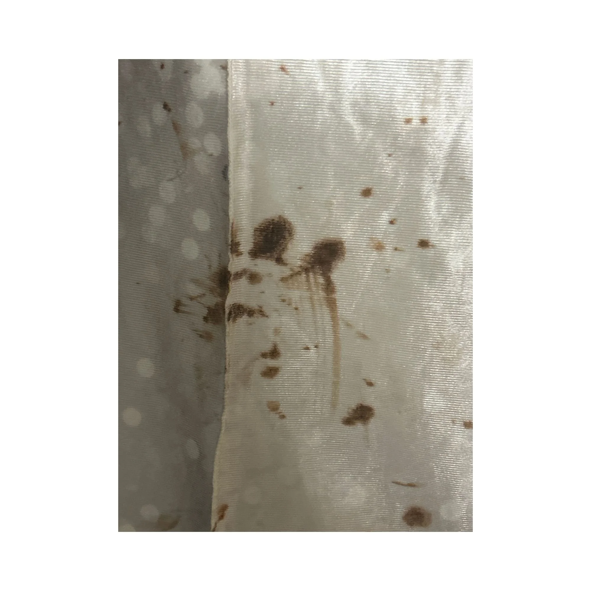 Bingo’s Signed “Salt” Costume  Authentic Fishtank Live Season 5 Screen Memorabilia