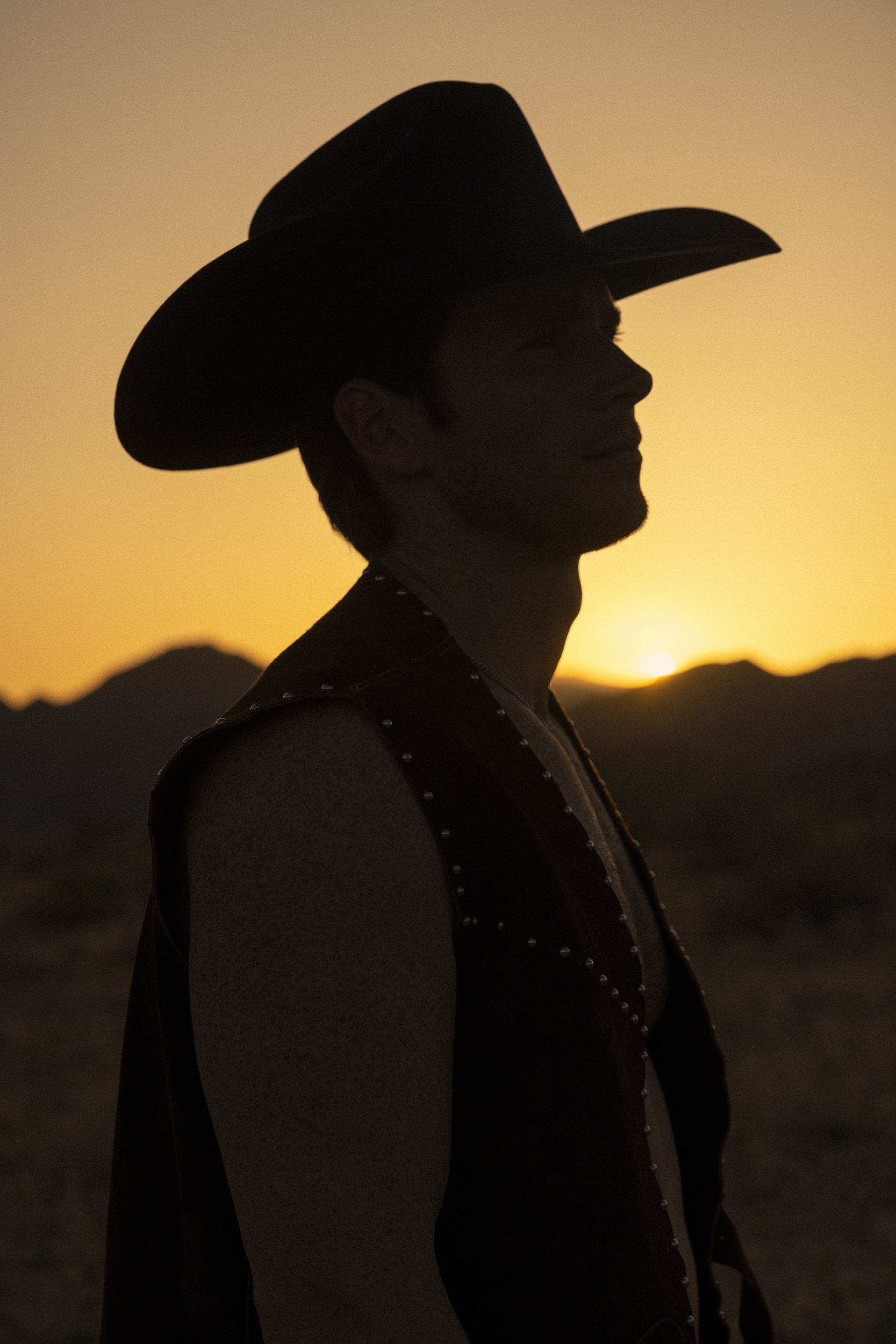 THE COWBOY CHRONICLES