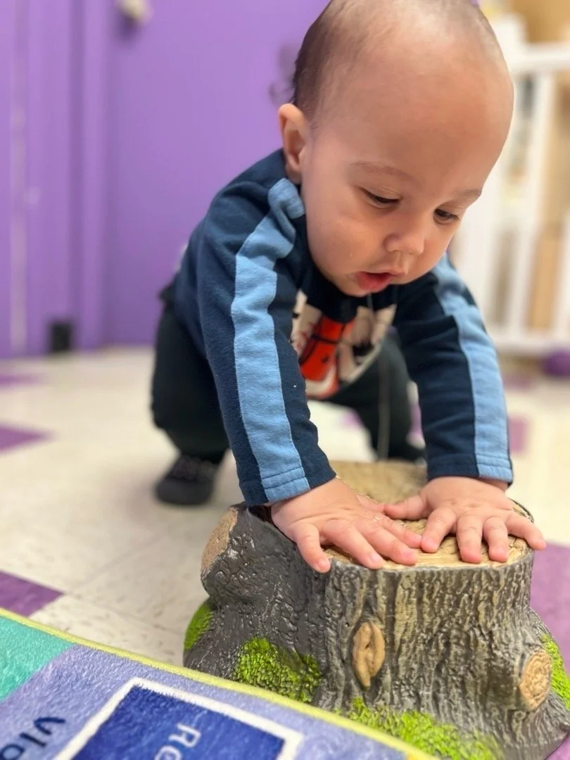 A young boy wearing a blue jacket with lighter blue stripes is kneeling on the floor and pressing his hands onto a tree stump, which appears to be a sensory or play object. The background has purple walls, indicating an indoor play area.