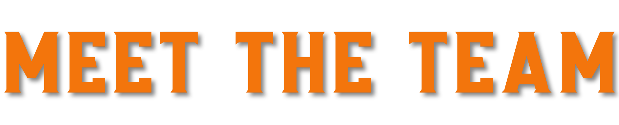 Text graphic with the words 'Meet the Team' in orange font on a black background for the roofers who make your roof come to life