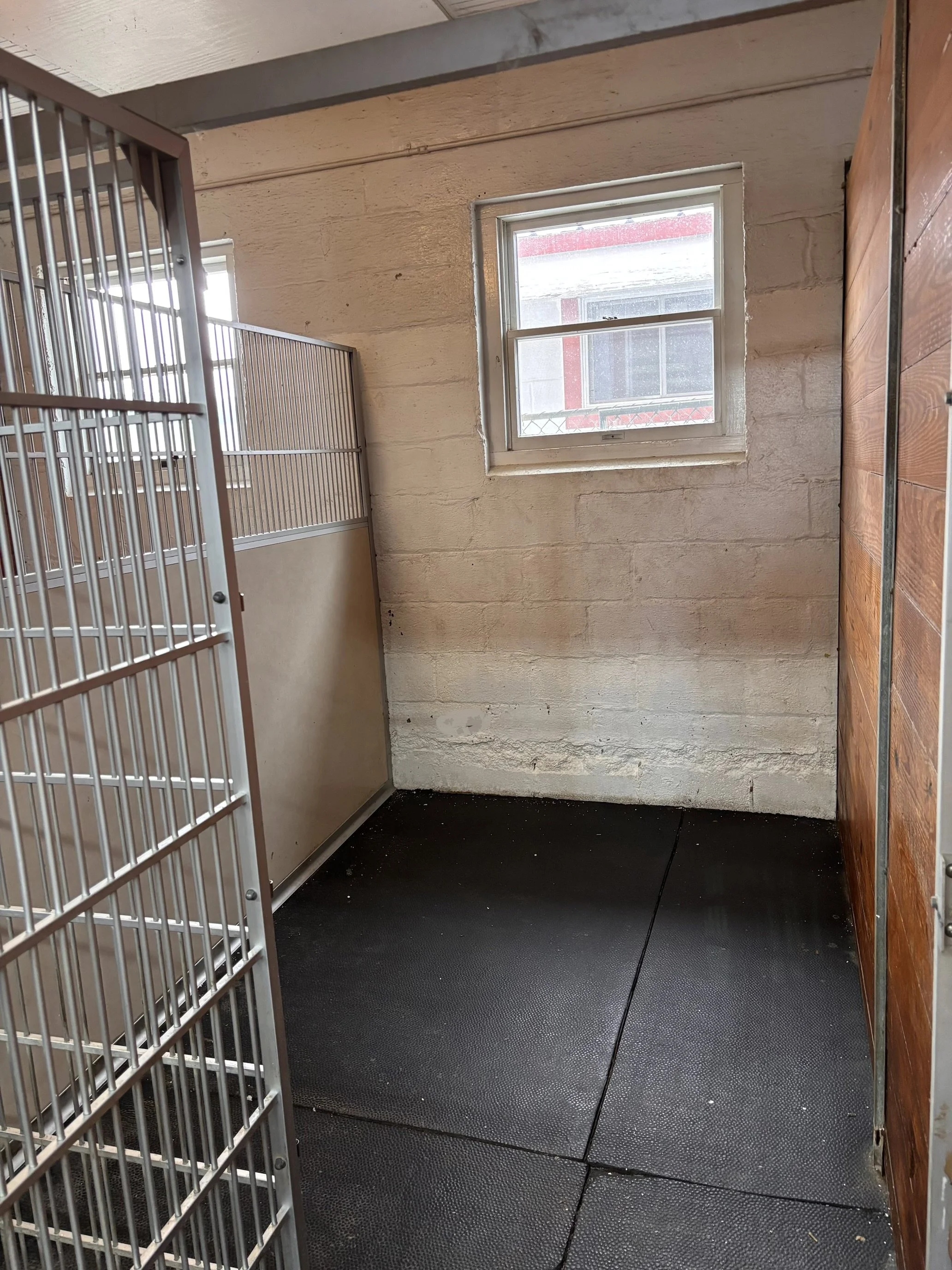Half Suite - $45 per day