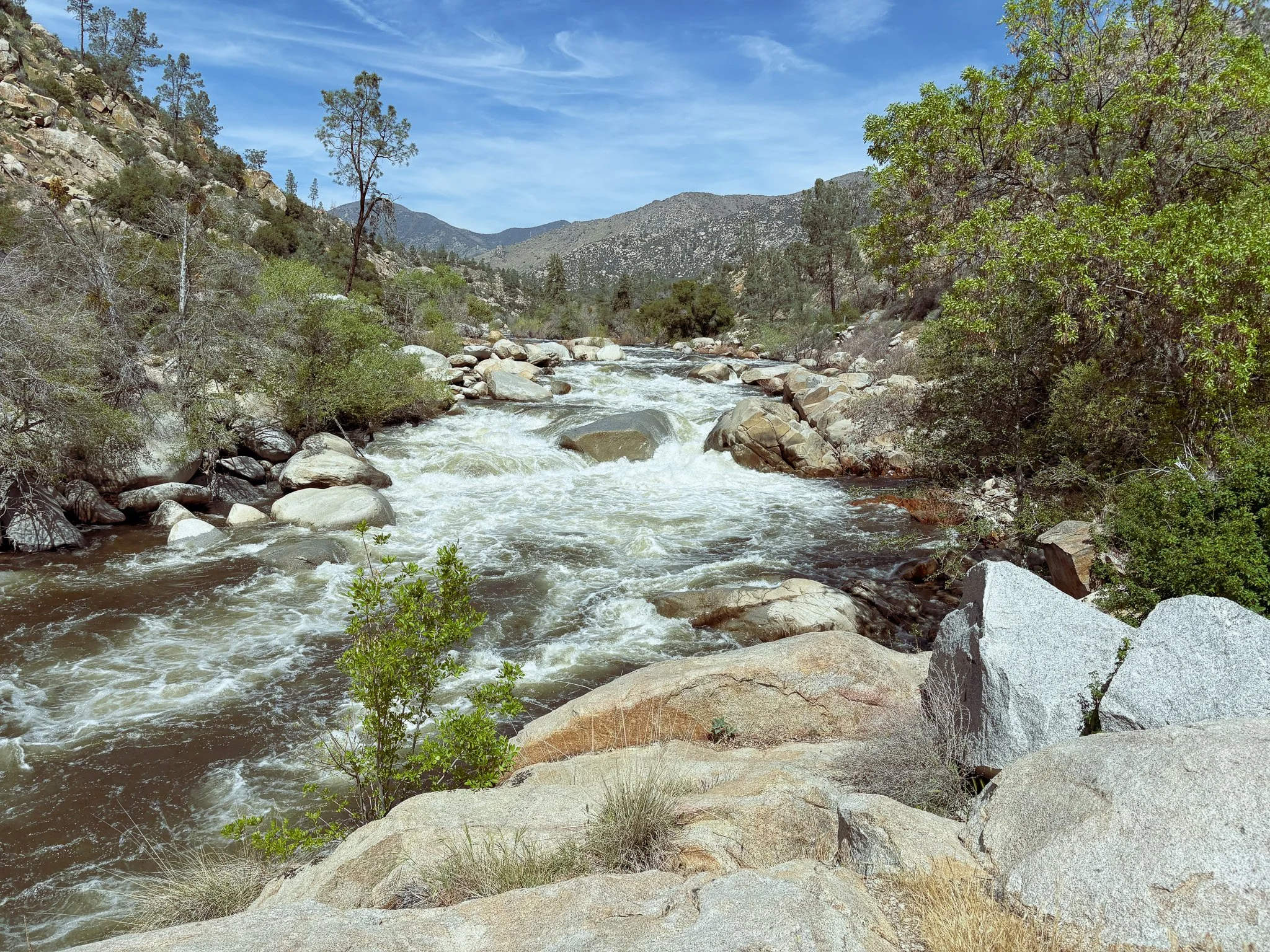A mountain river flowing through a rocky and wooded landscape under a blue sky with wispy clouds.