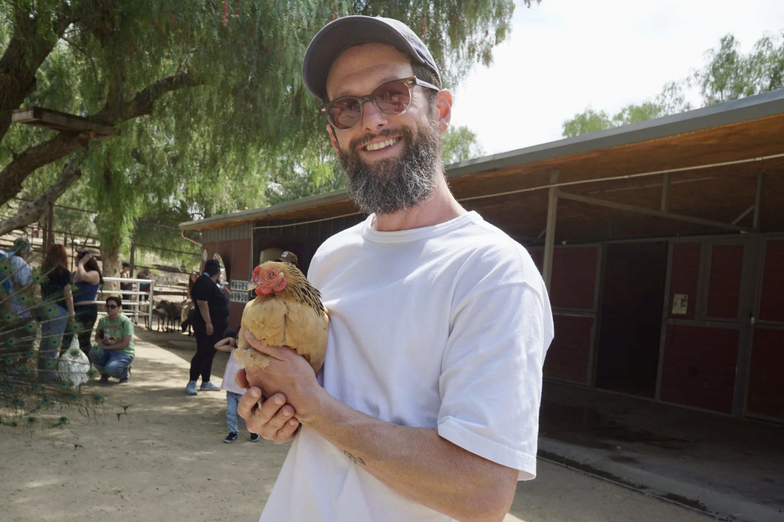 A man with glasses, a beard, and a baseball cap is smiling while holding a chicken at an outdoor petting zoo or farm. There are trees and a wooden building in the background, with other visitors visible.