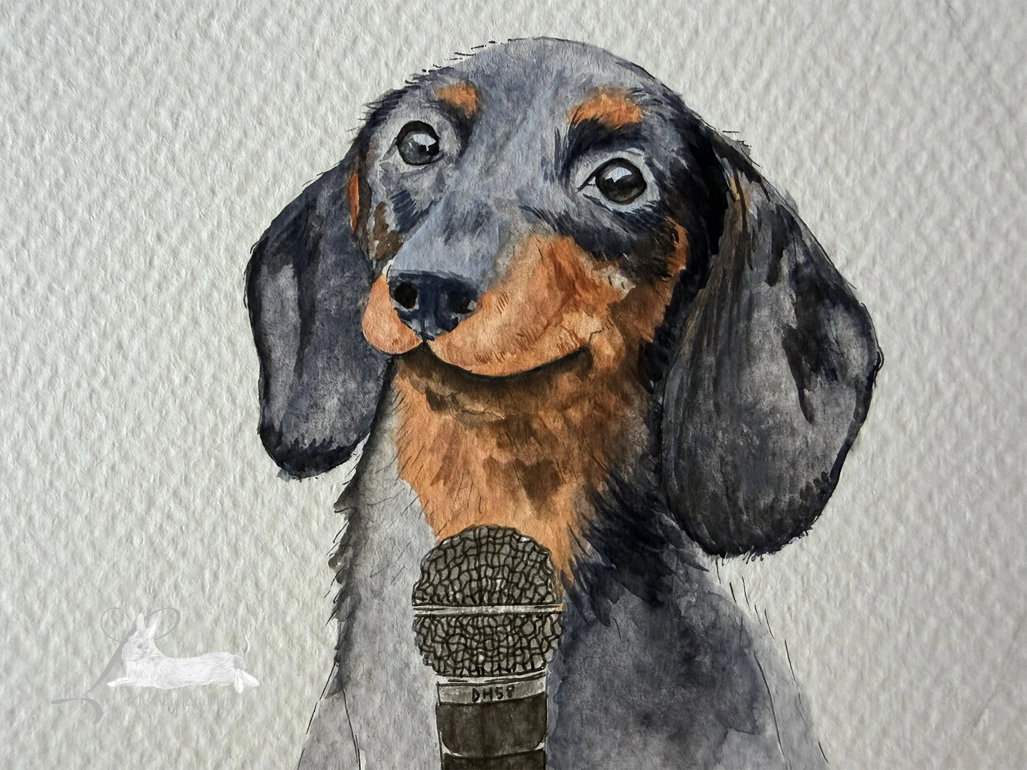 Close up of a watercolour painting of a sausage dog with black fur and tan snout holding a microphone.