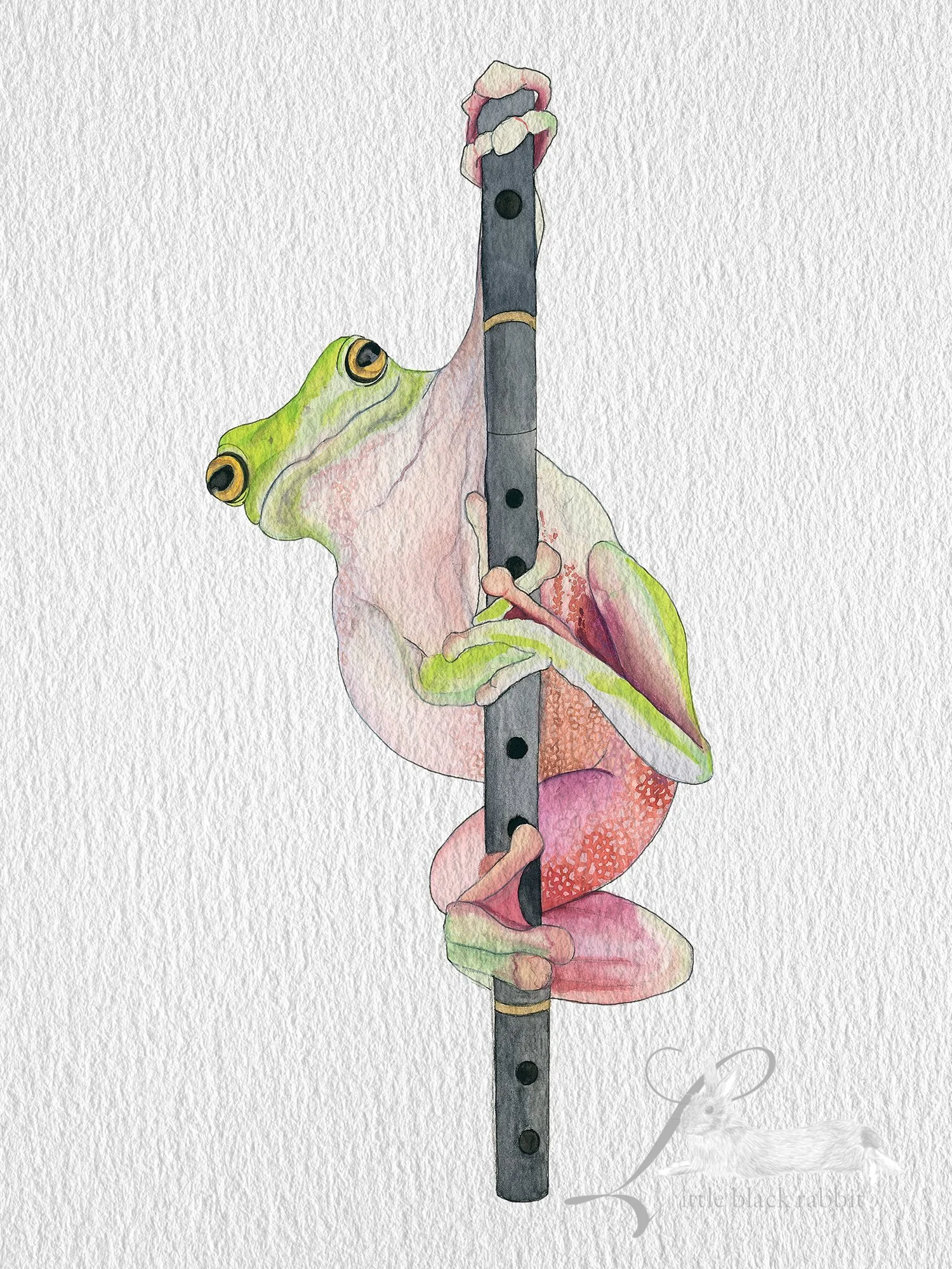 Watercolour painting of a green and white tree frog holding onto a black wooden flute standing on its end.