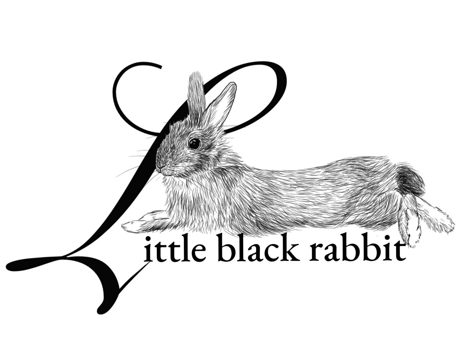 Little Black Rabbit