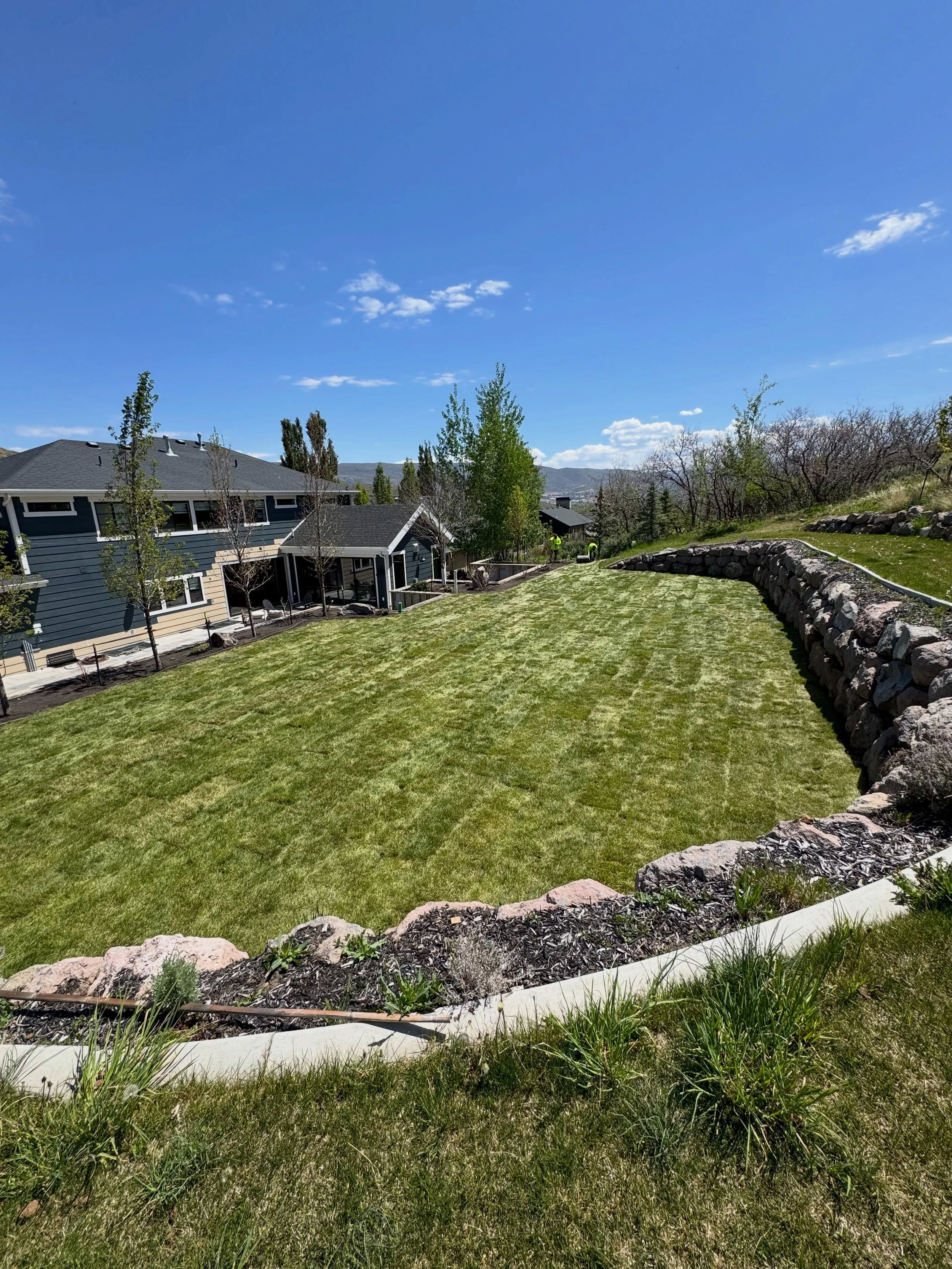 Fresh sod, trees and paver patio just in time for summer