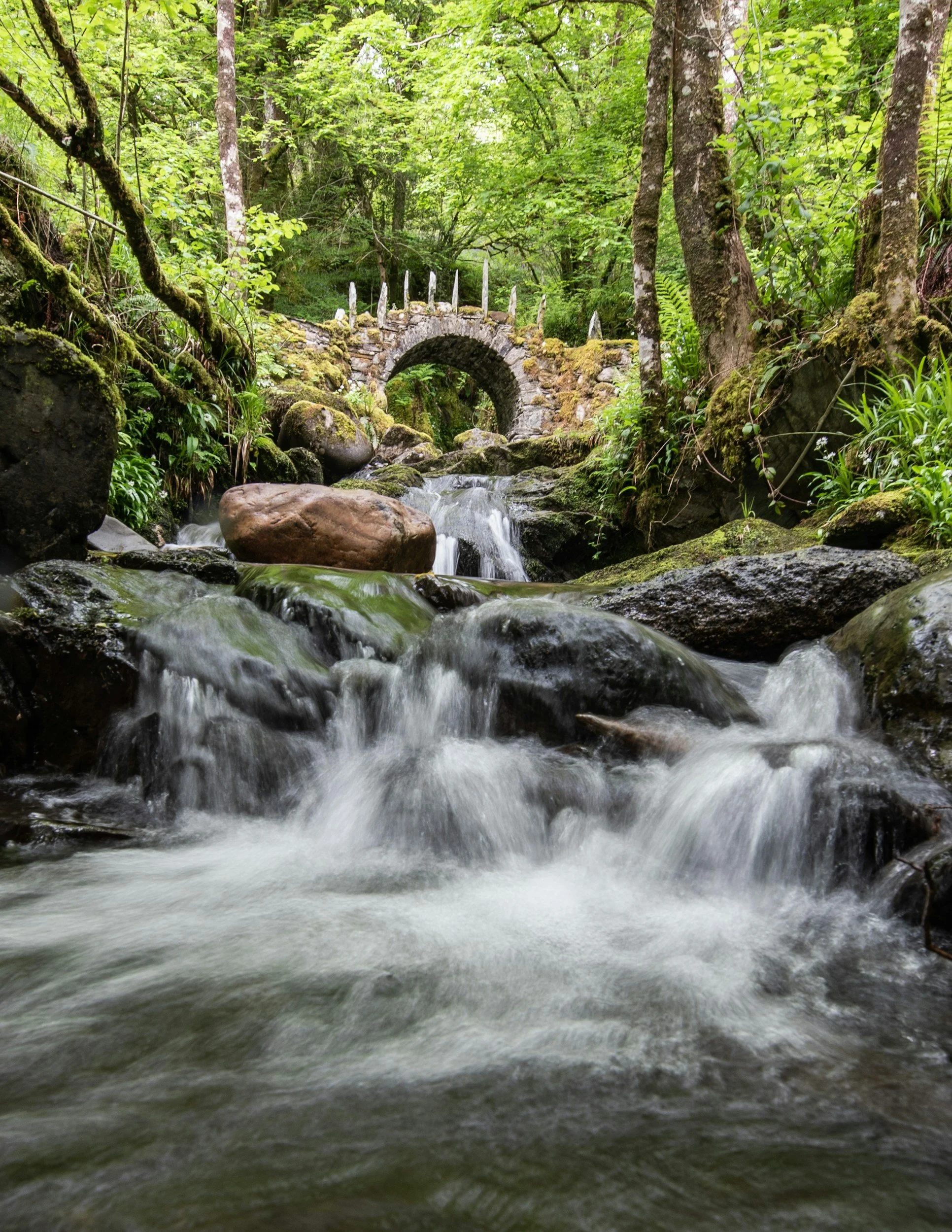 A small stone bridge over a rocky creek in a dense green forest with trees and moss-covered rocks.