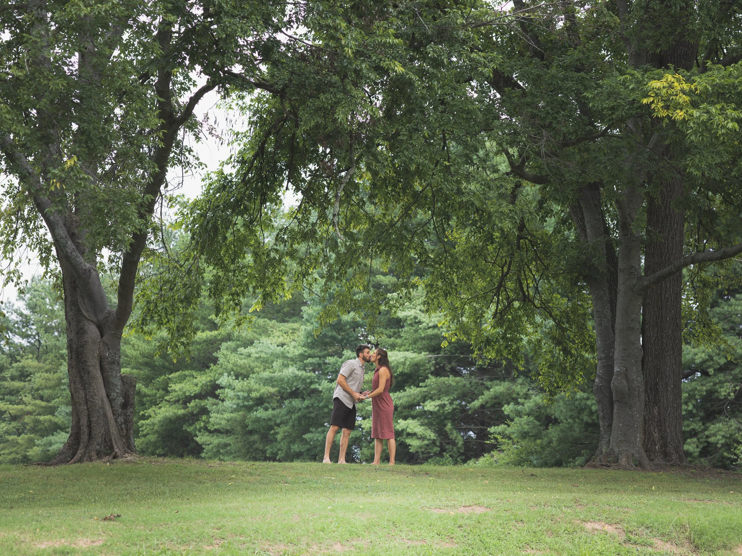 Man and woman kissing under a canopy of trees after getting engaged in a park