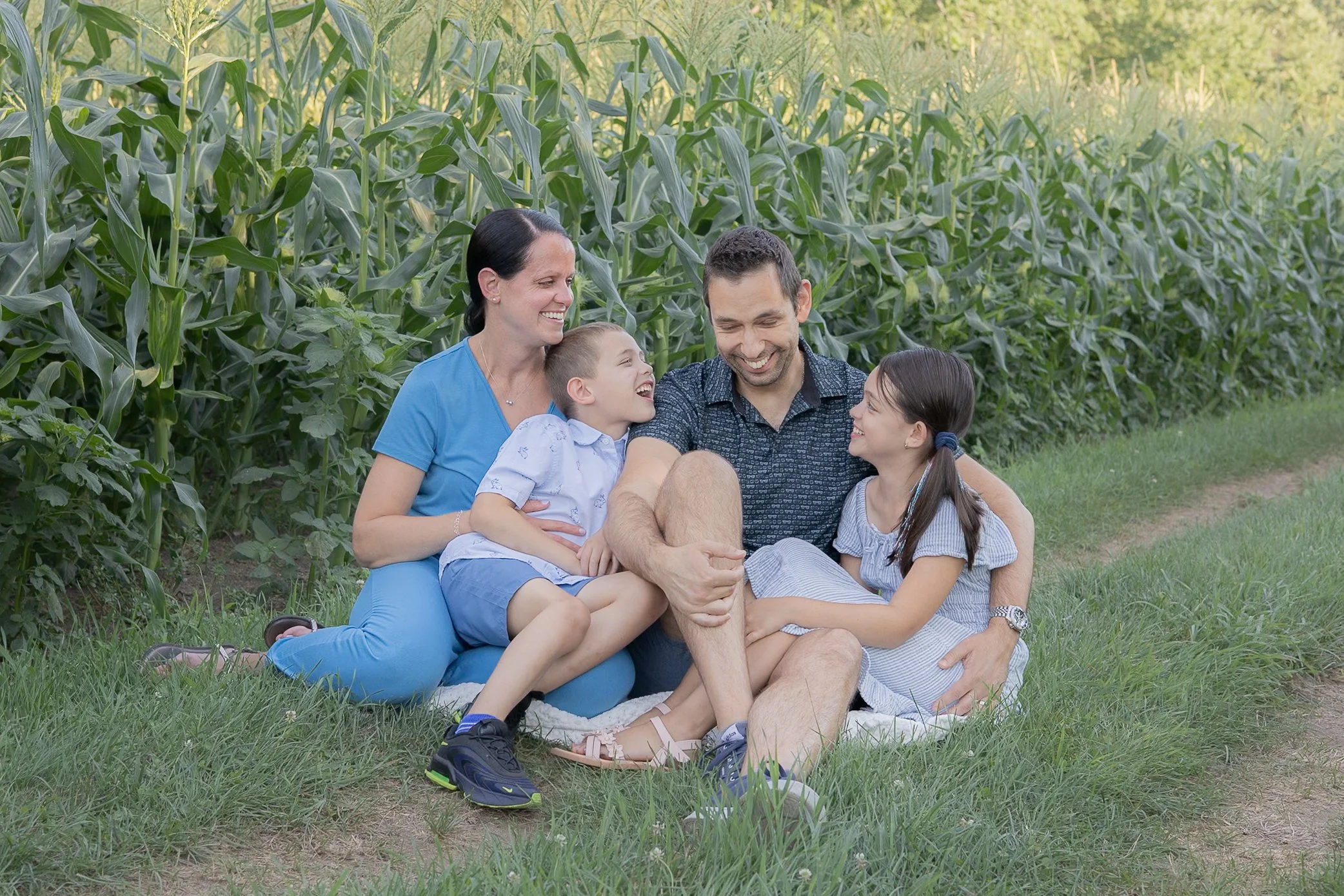 Family of four sitting in a corn field for family pictures in matching outfits laughing at eachother