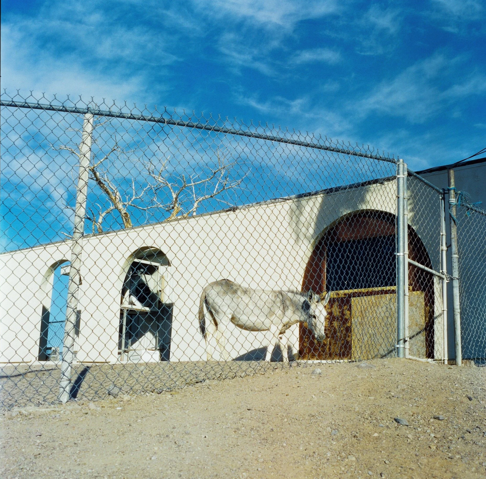 IMG_8462.png