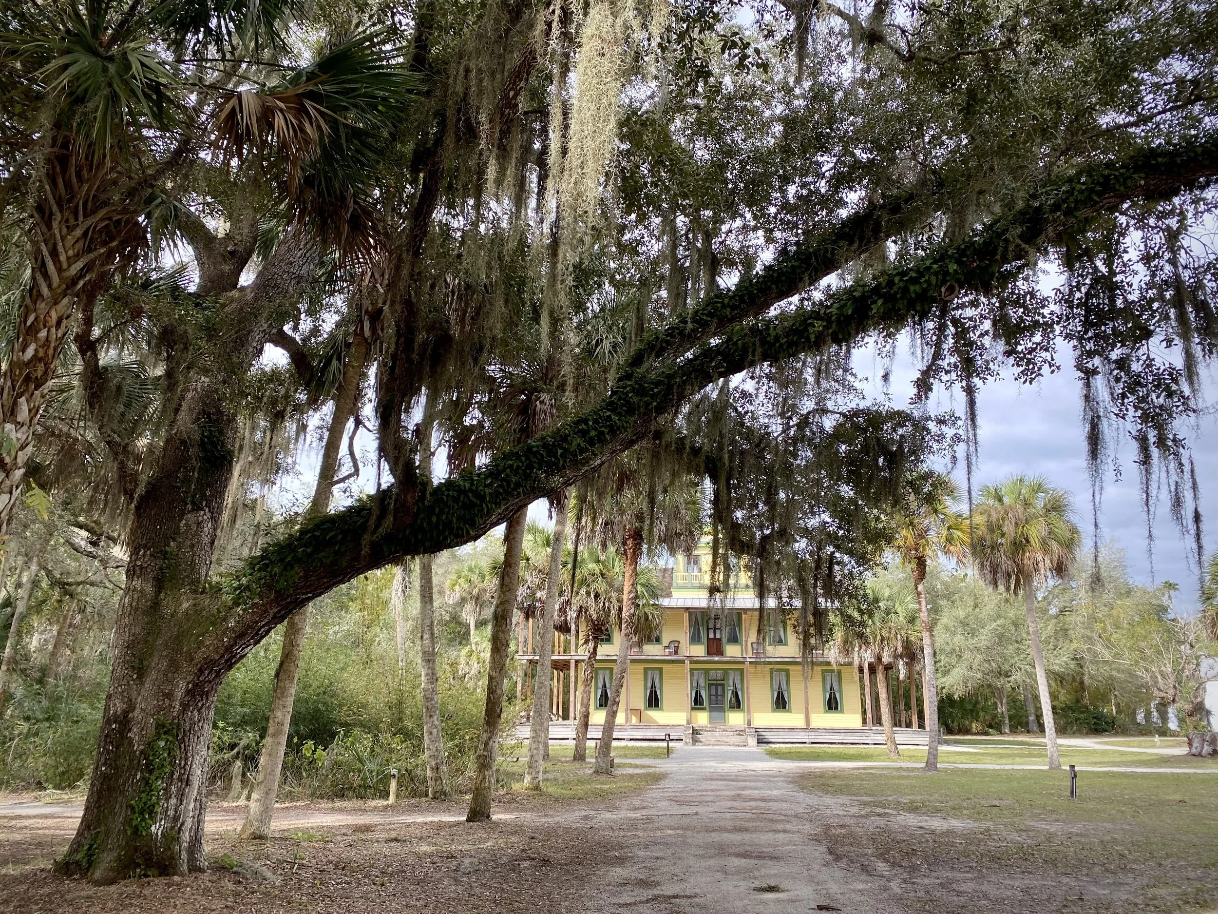 Distant in Place with Koreshanity