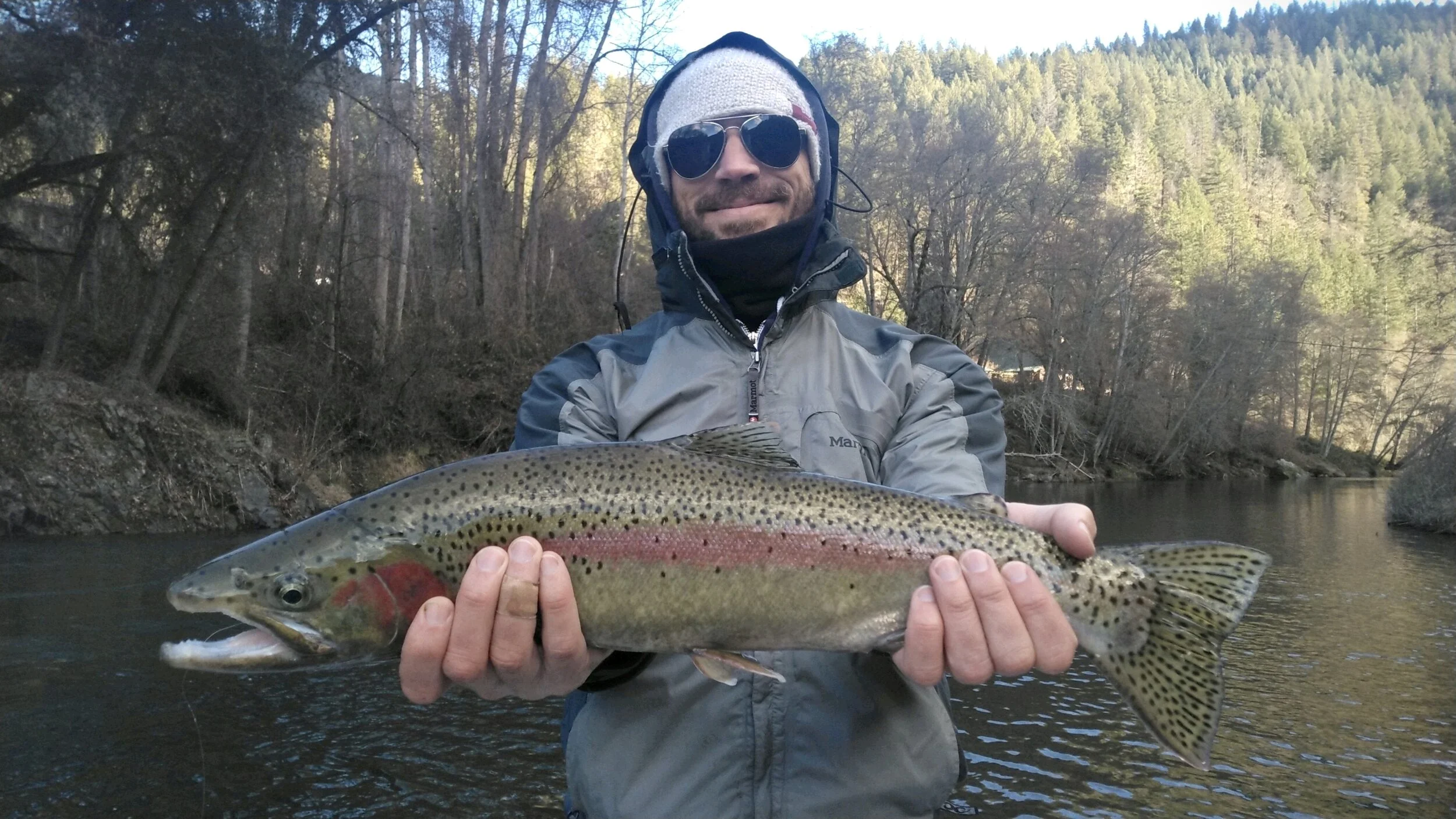 A 10lb steelhead trout.