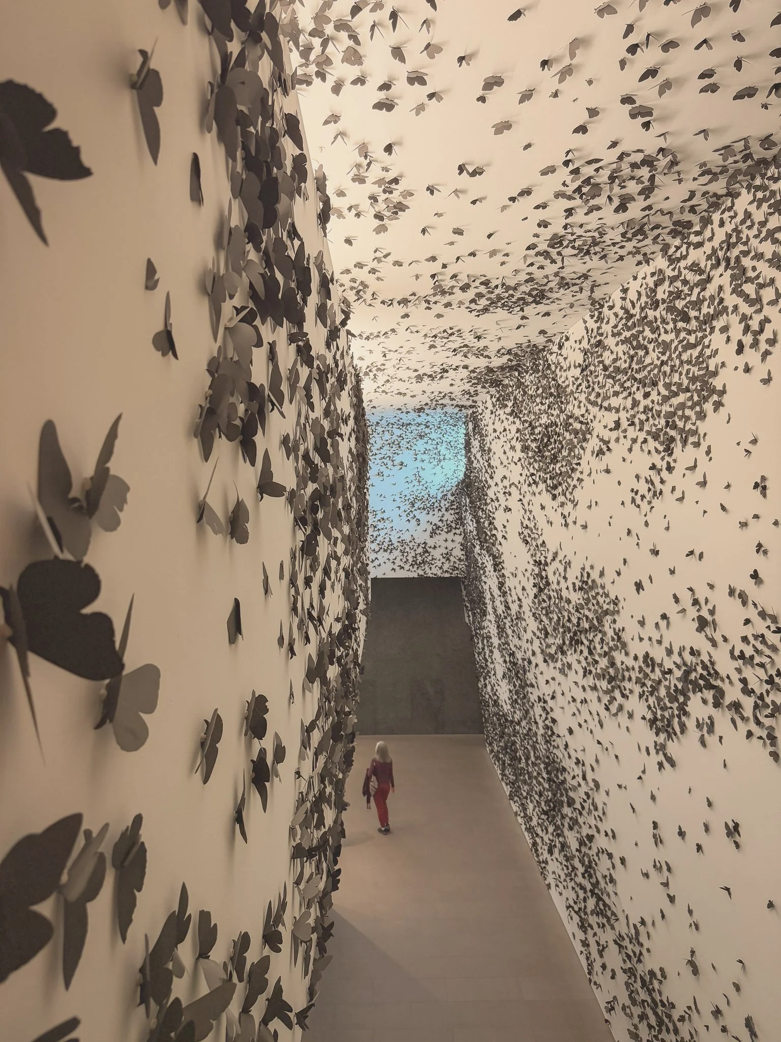 Phoenix Art Museum 