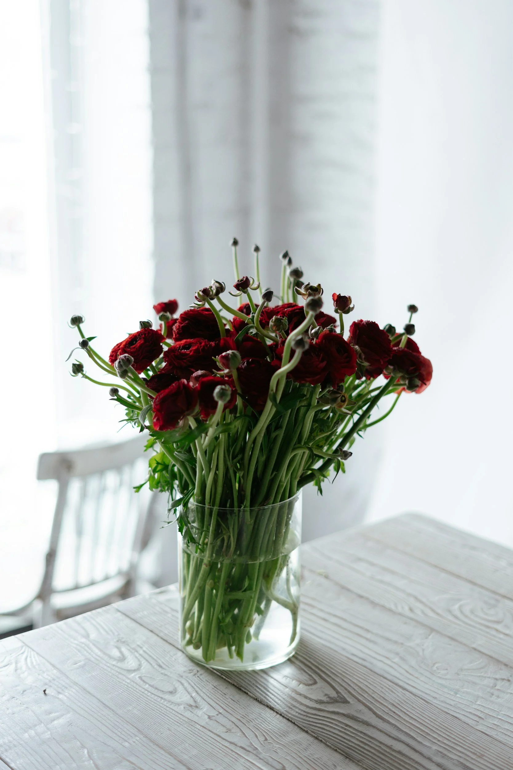 A clear glass vase filled with red flowers and green stems, placed on a white wooden table with a white background and chair.