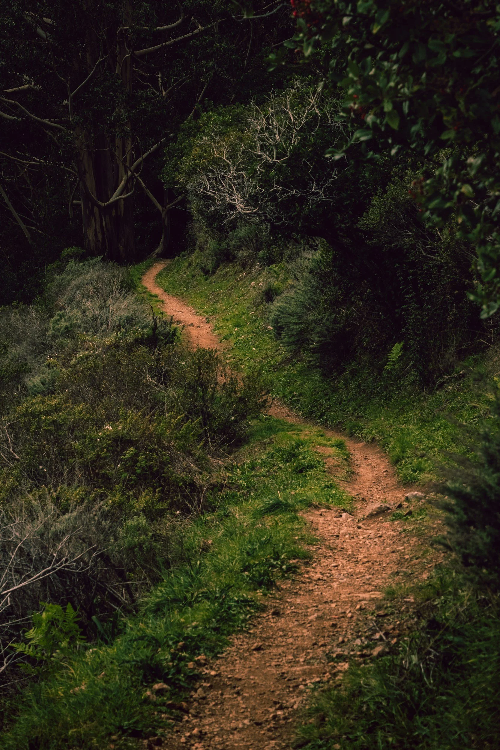 unsplash-image-L1fuUxgnKm4.jpg