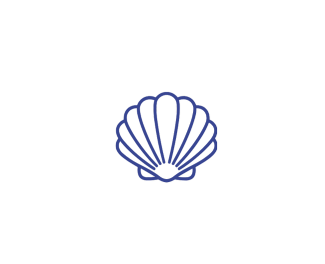 Outline of a seashell in blue on a black background.