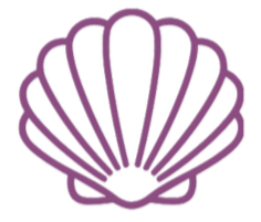 Purple outline of a seashell