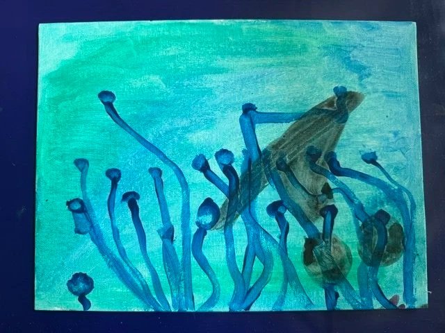 Under the Sea