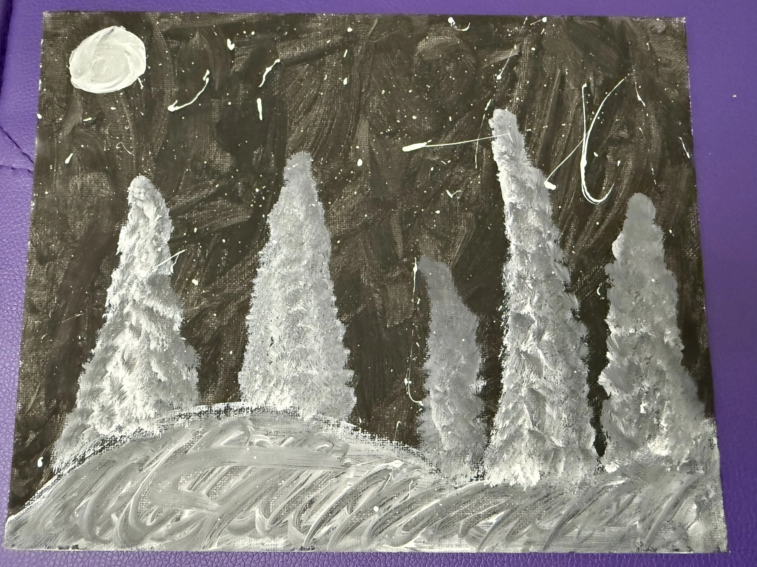 Snowy Forest Jr