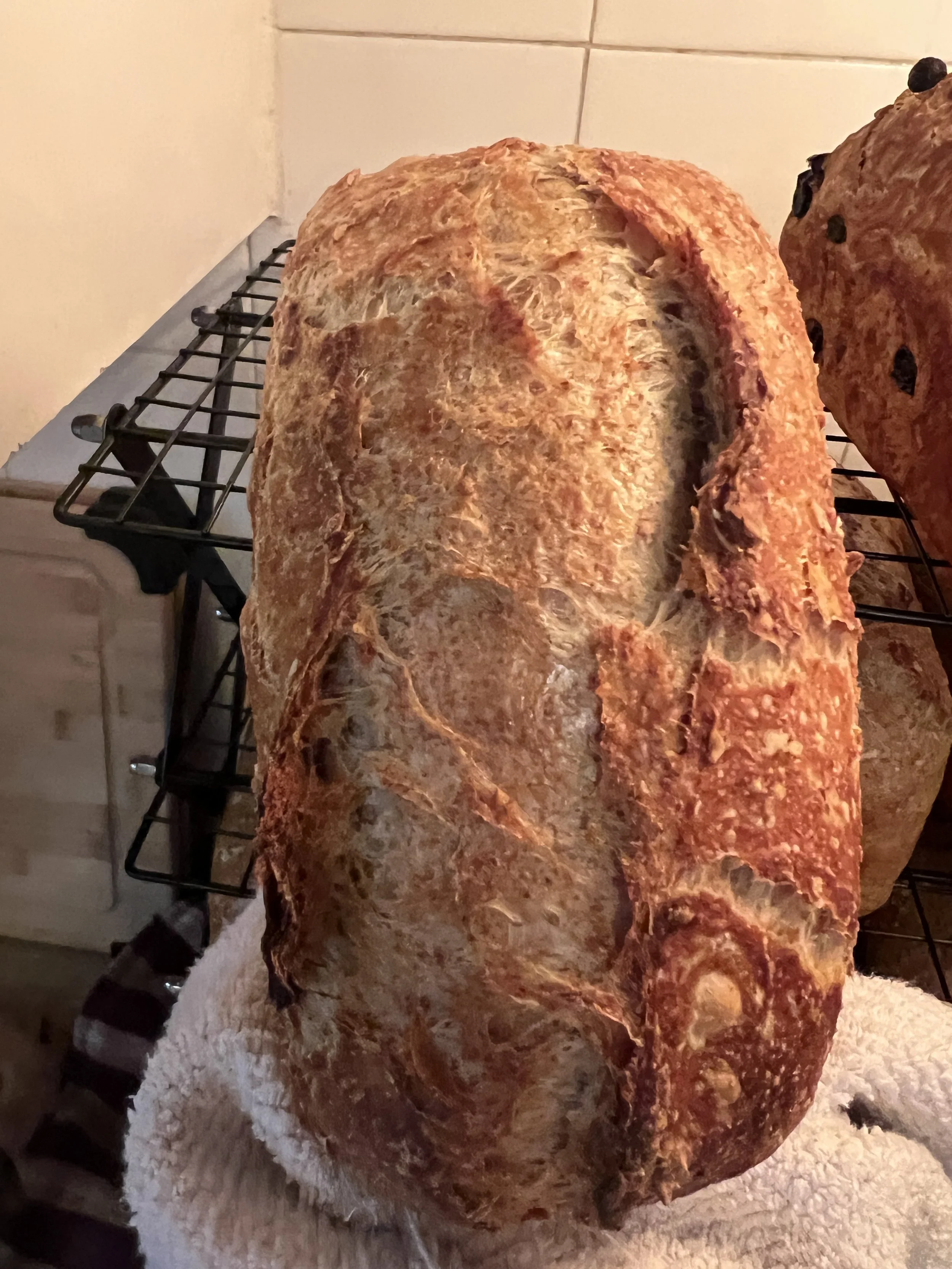 The Daily Loaf Sourdough Bread