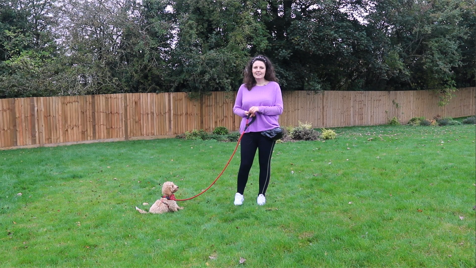Why is my puppy not walking when we go outside?