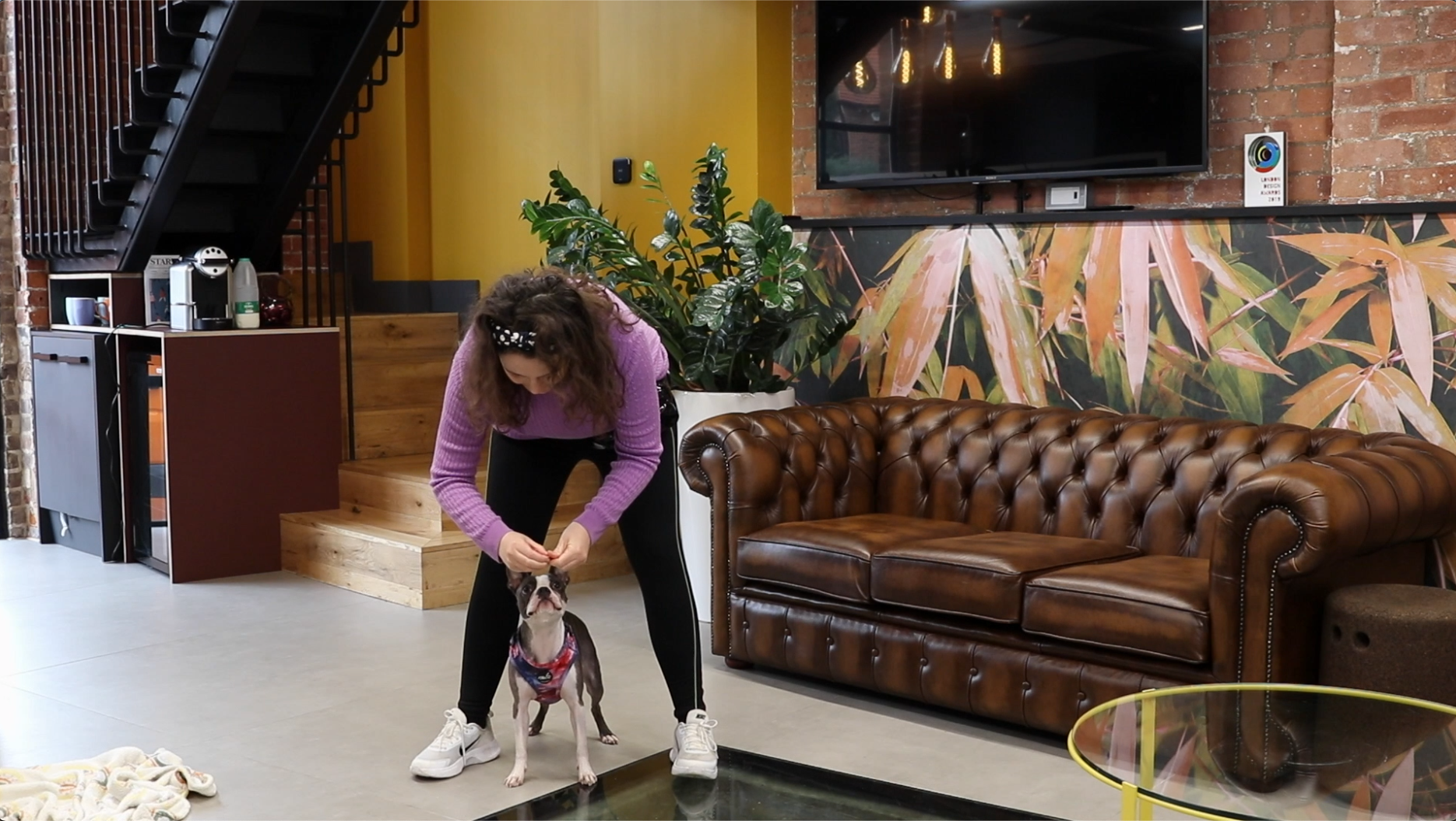 How can you ensure your purchasing from a responsible breeder?