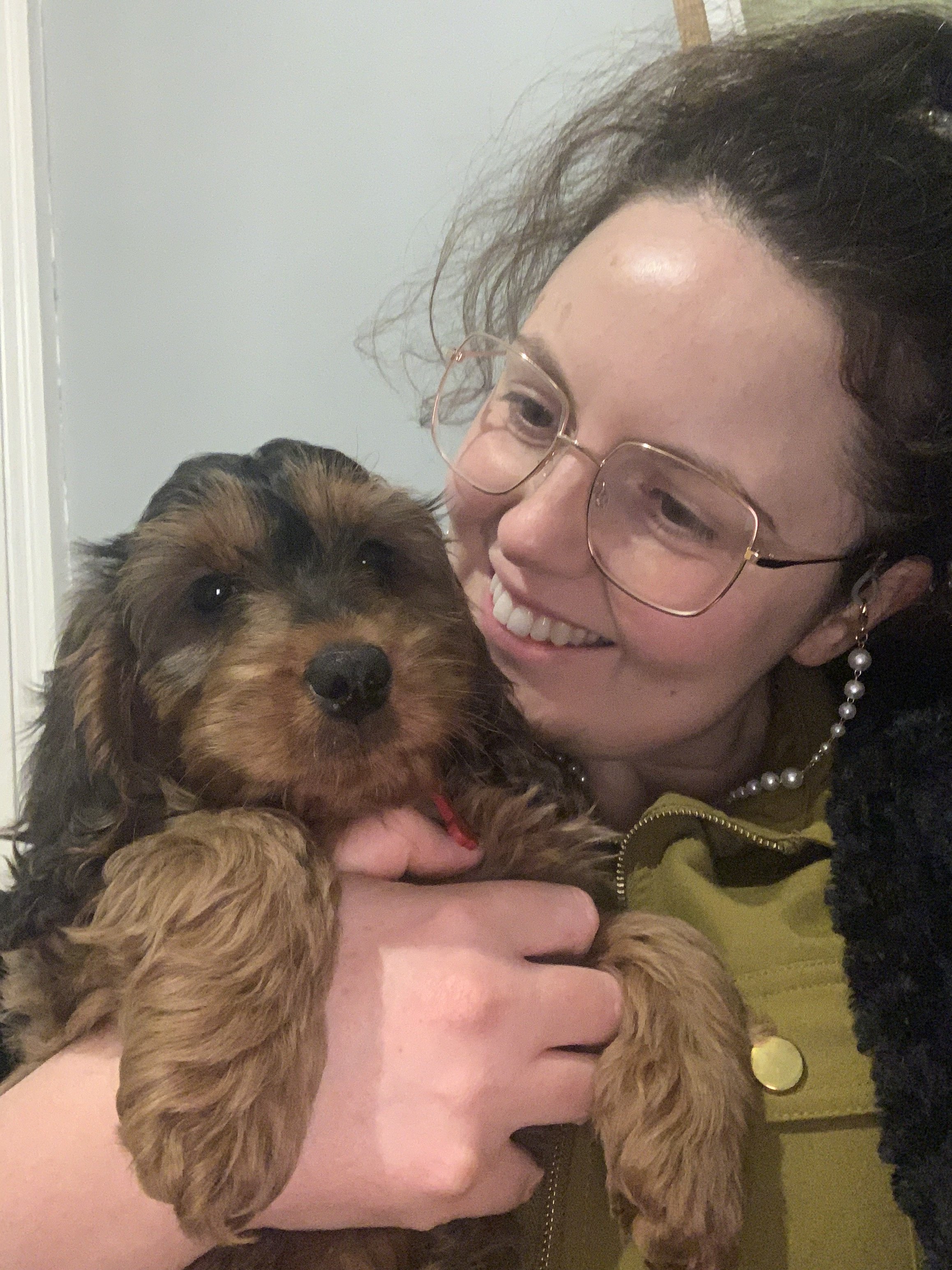 Socialising your puppy - be in the know