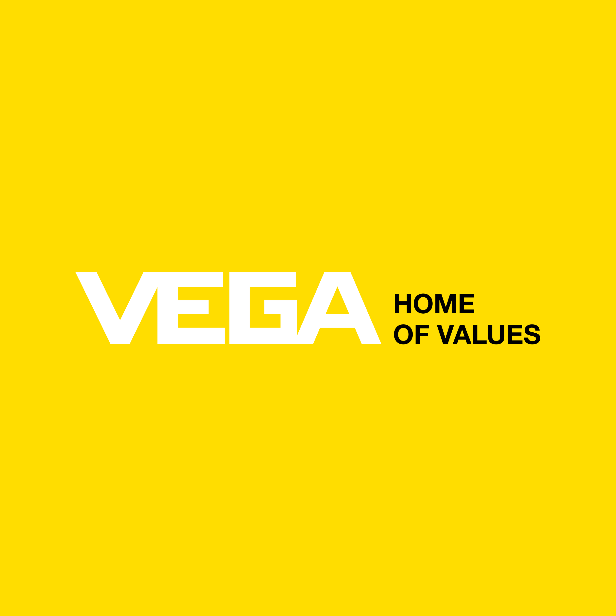 VEGA America's Design Co-op